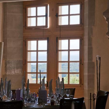 Chateau Le Rosey Hotel Nyon Zewnętrze zdjęcie