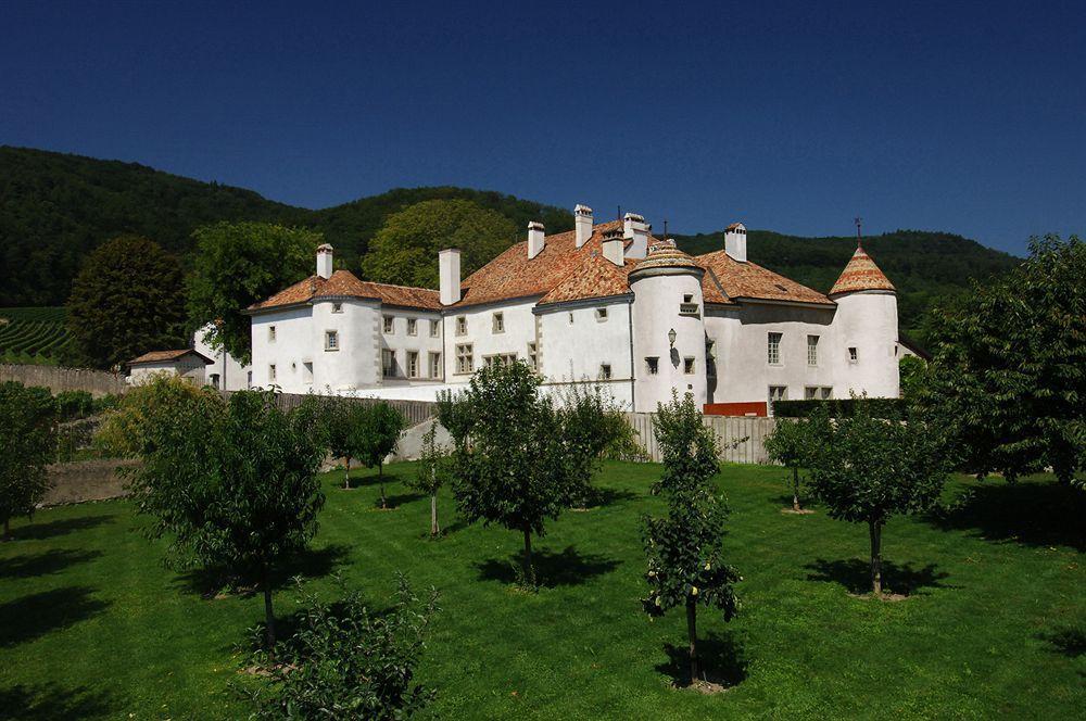 Chateau Le Rosey Hotel Nyon Zewnętrze zdjęcie