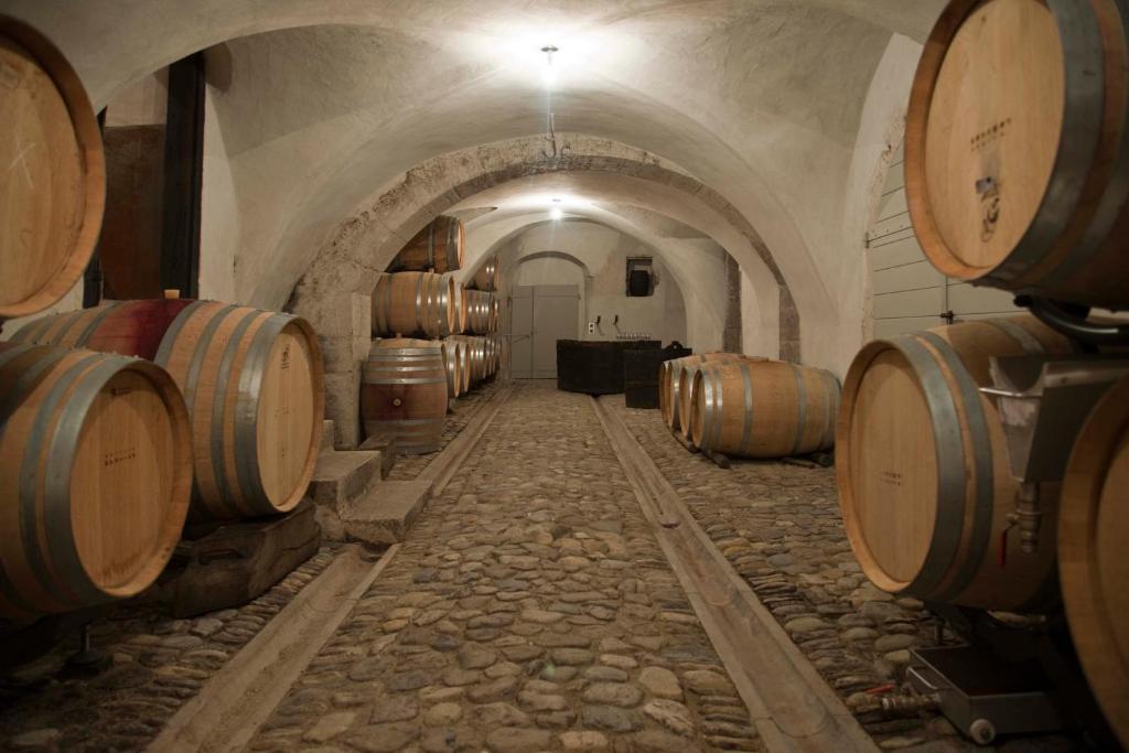 Chateau Le Rosey Hotel Nyon Zewnętrze zdjęcie