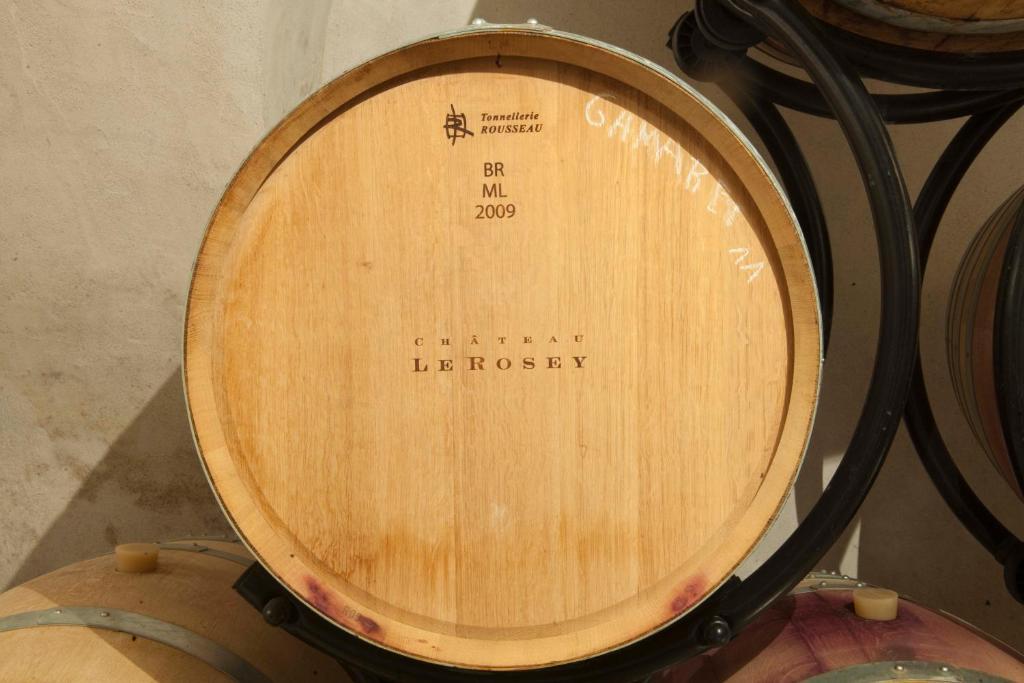 Chateau Le Rosey Hotel Nyon Zewnętrze zdjęcie