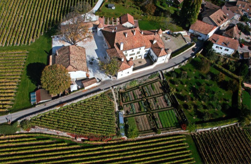 Chateau Le Rosey Hotel Nyon Zewnętrze zdjęcie